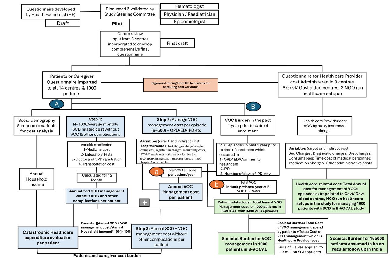 Socioeconomic health and impact of sickle cell disease and vaso ...